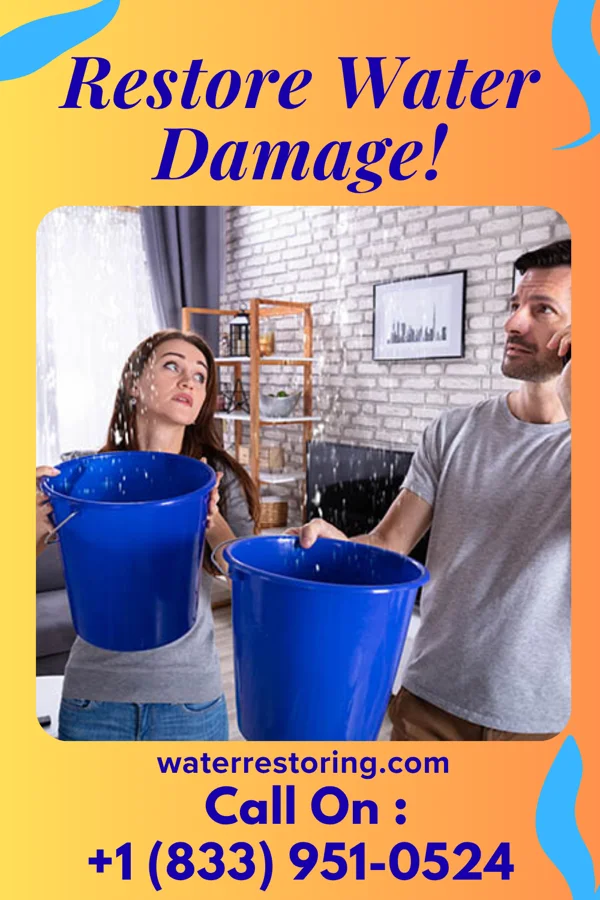 water restoration Prestige Water Damage Specialists Walnut Cove