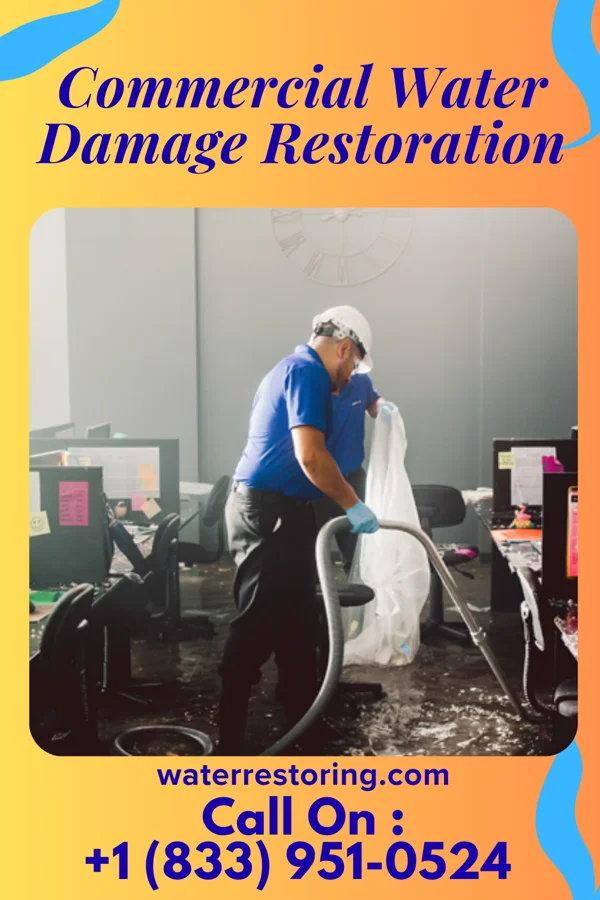 Commercial Water Damage Restoration in Walnut Cove, NC