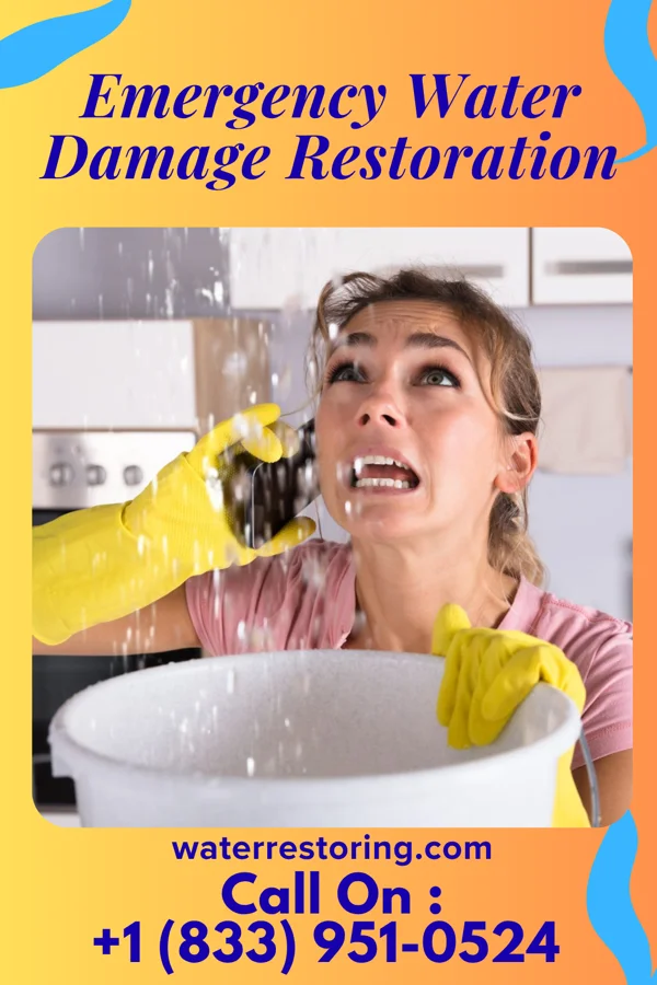 Emergency Water Damage Restoration in Walnut Cove, NC