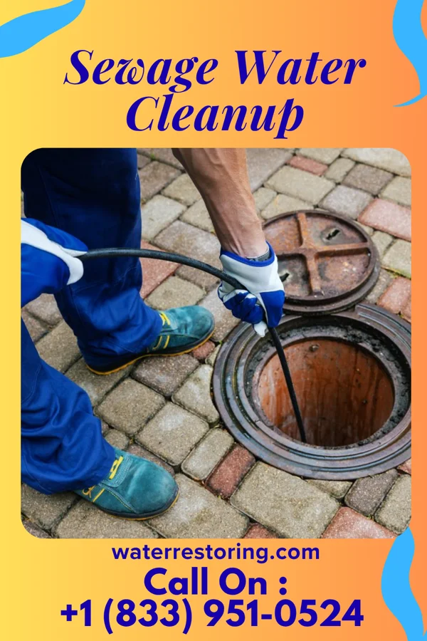 Sewage Water Cleanup in Walnut Cove, NC
